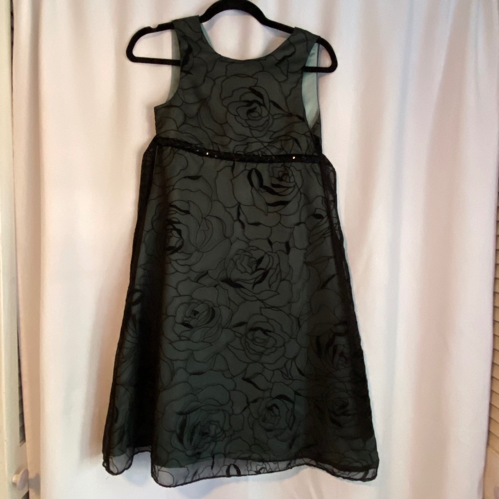 Girls fancy party dress